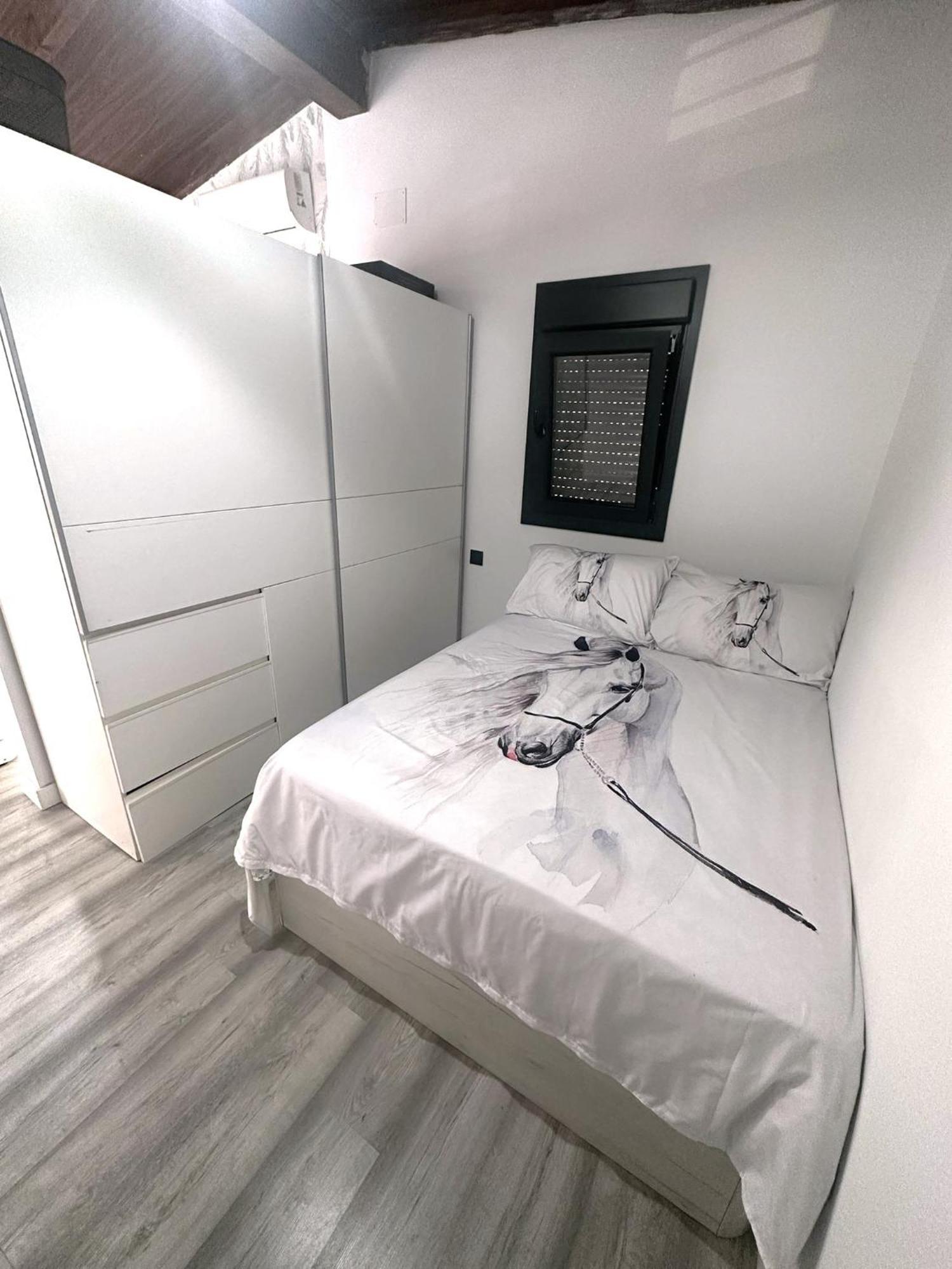 El Cuchi Apartment Sanlucar de Barrameda